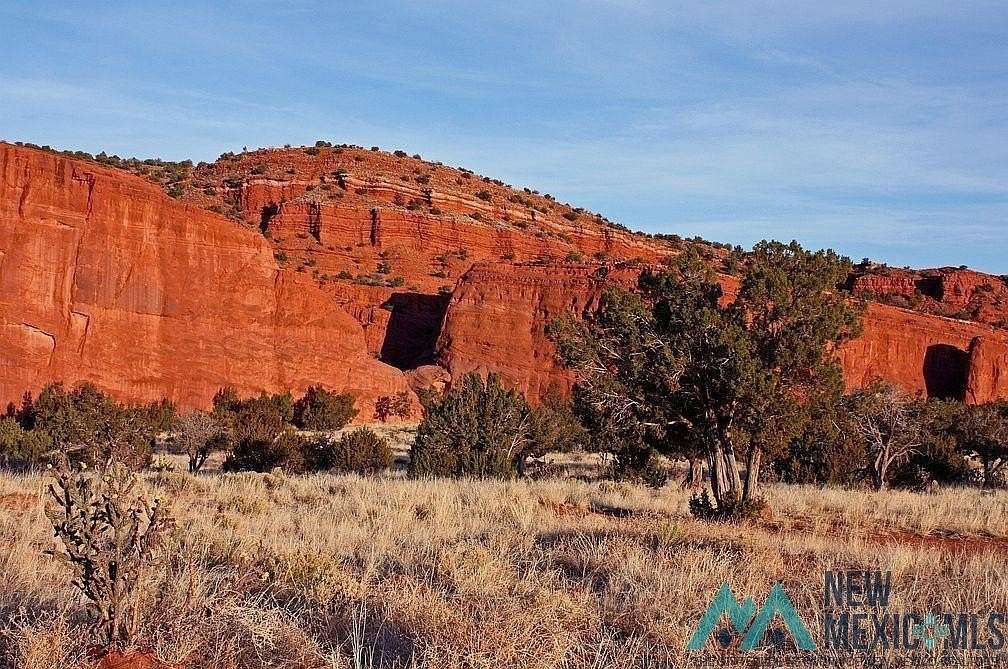 141 Acres of Recreational Land for Sale in Prewitt, New Mexico