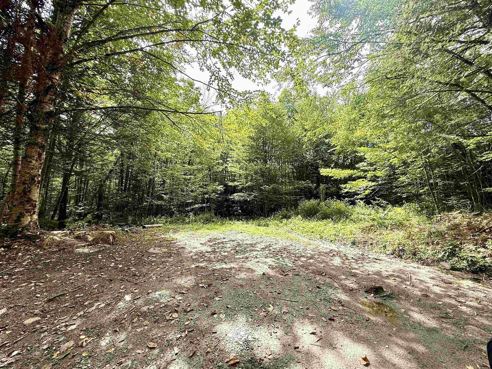7.2 Acres of Land for Sale in Lunenburg, Vermont