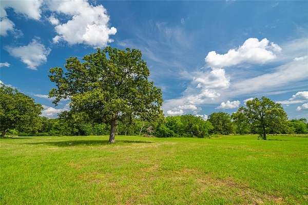 120 Acres of Recreational Land & Farm for Sale in Garrison, Texas