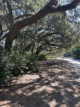 0.33 Acres of Residential Land for Sale in Johns Island, South Carolina