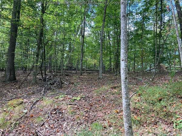 81 Acres of Recreational Land for Sale in South Charleston, West Virginia