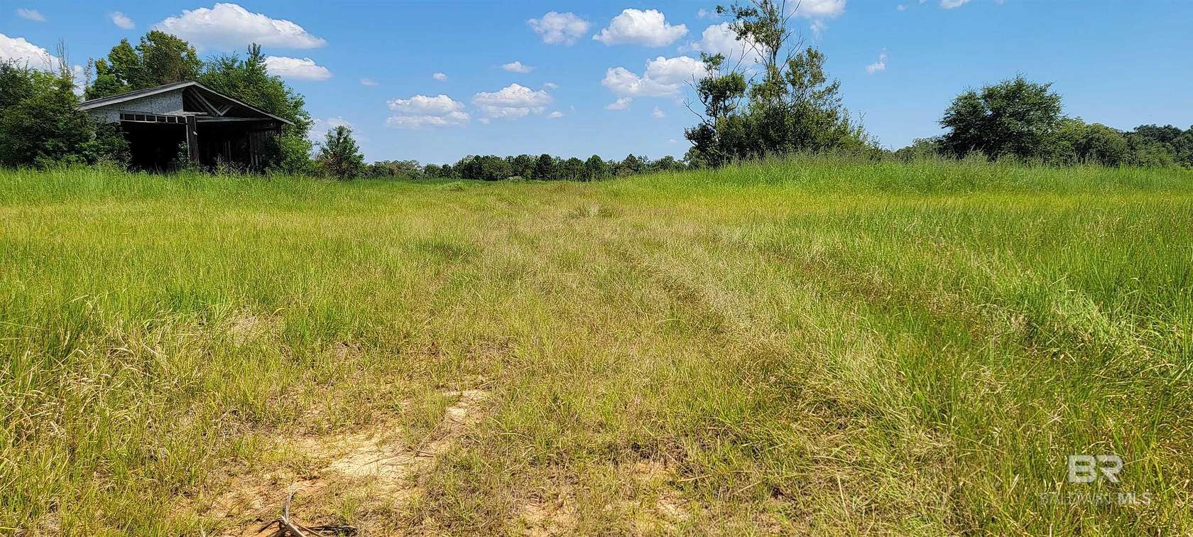 20.5 Acres of Agricultural Land for Sale in Foley, Alabama