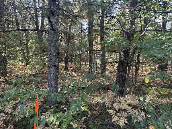 4.86 Acres of Land for Sale in Baldwin, Michigan