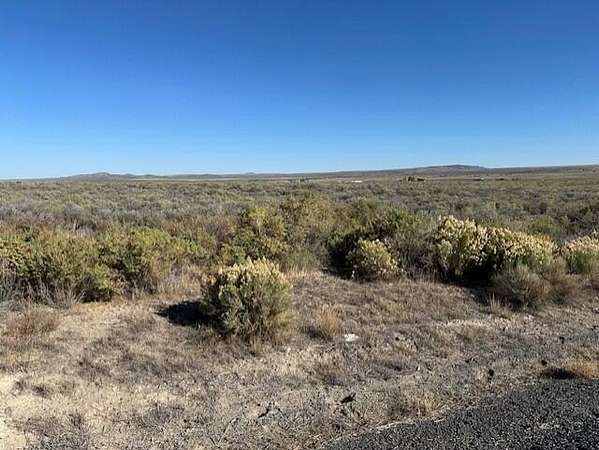 20 Acres of Land for Sale in Christmas Valley, Oregon