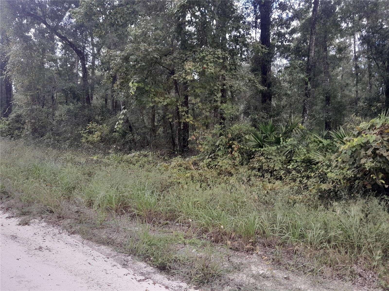5 Acres of Land for Sale in Old Town, Florida