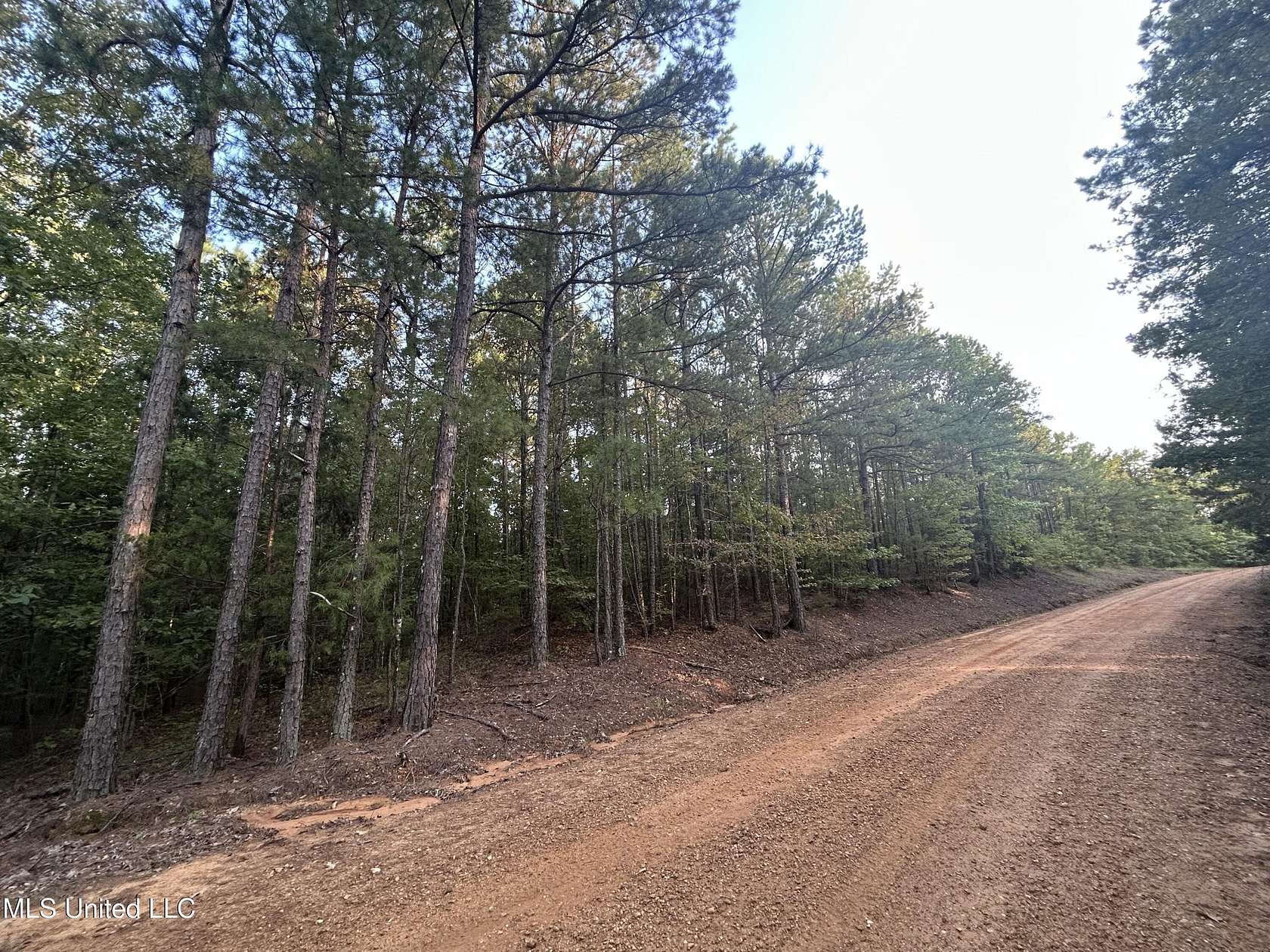 80 Acres of Recreational Land for Sale in Gore Springs, Mississippi