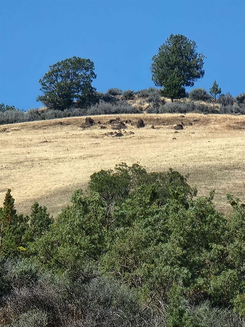 40 Acres of Land for Sale in Hornbrook, California