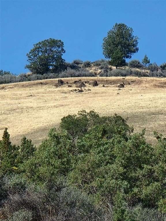 40 Acres of Land for Sale in Hornbrook, California