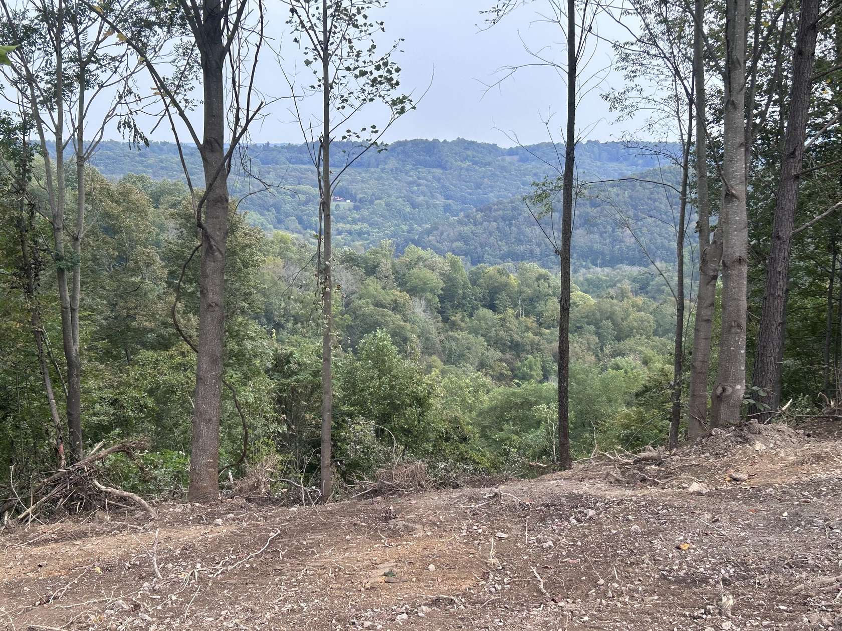 94.5 Acres of Recreational Land for Sale in Woodbury, Tennessee