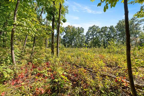 5 Acres of Residential Land for Sale in Random Lake, Wisconsin