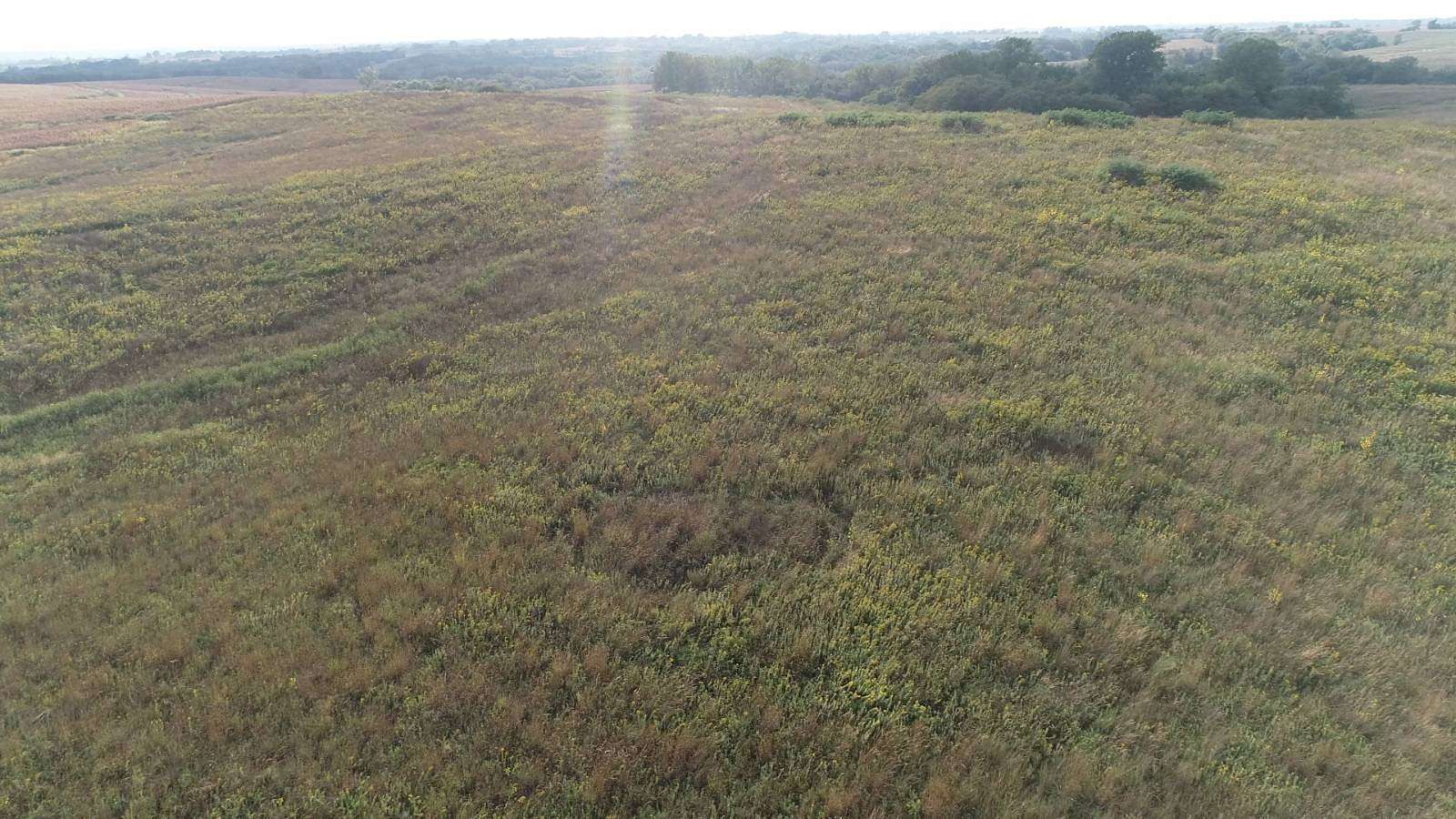 78.5 Acres of Agricultural Land for Sale in Blockton, Iowa