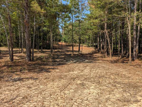 2.5 Acres of Residential Land for Sale in Appling, Georgia