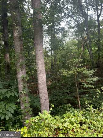 0.23 Acres of Residential Land for Sale in Gainesville, Georgia