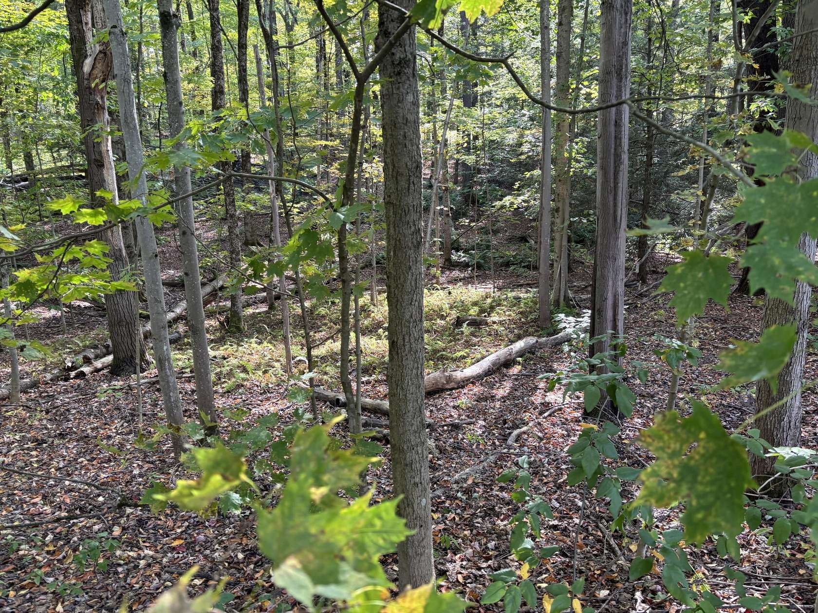 1 Acre of Residential Land for Sale in Rome, New York
