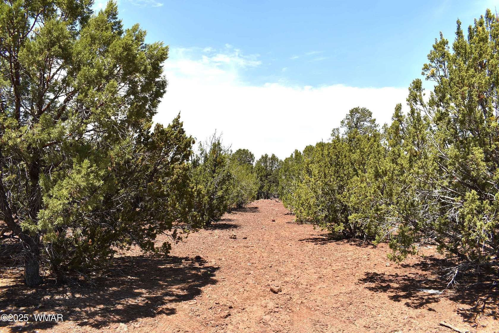 4.89 Acres of Residential Land for Sale in Vernon, Arizona