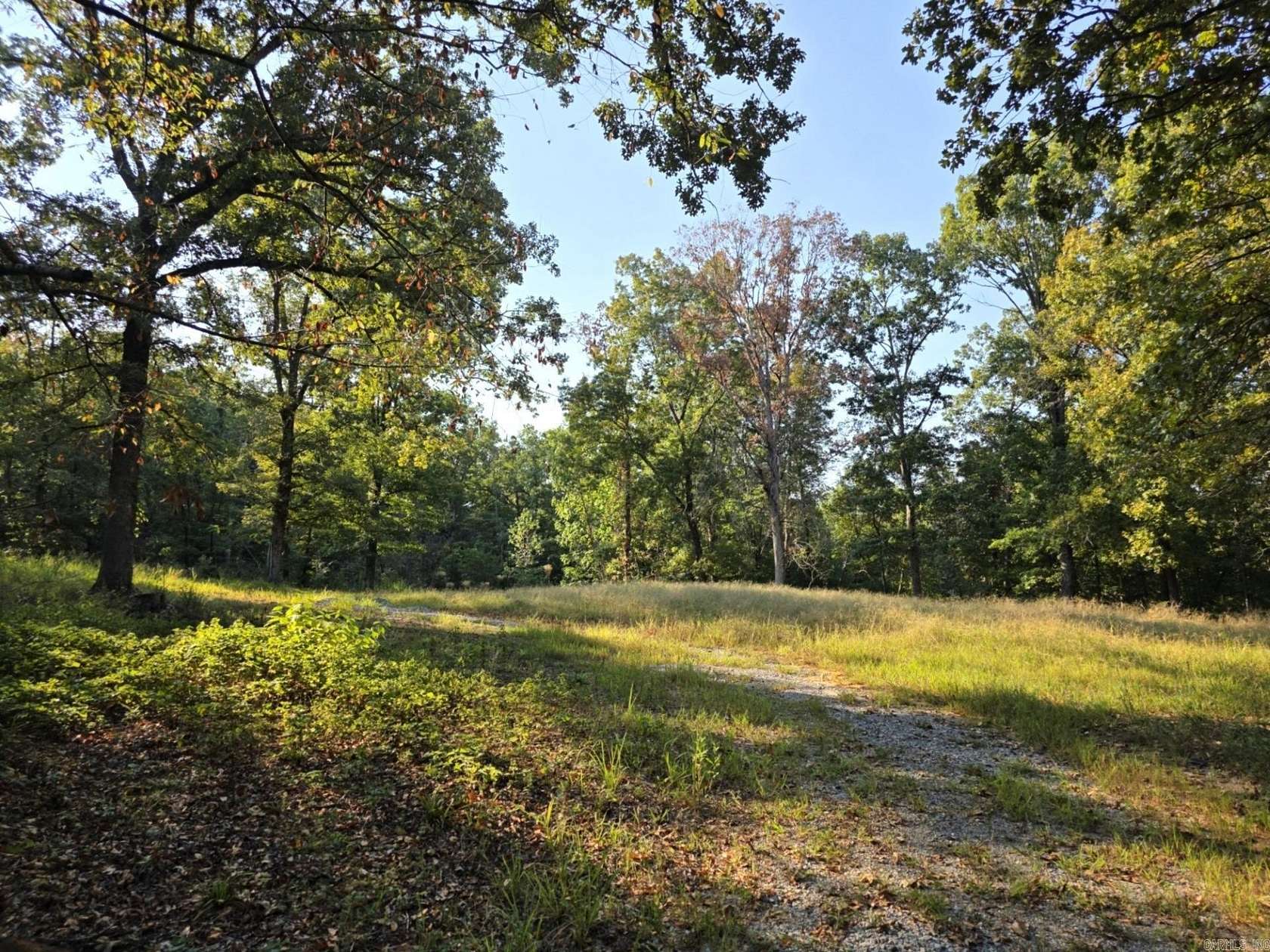 10 Acres of Land for Sale in Sulphur Rock, Arkansas