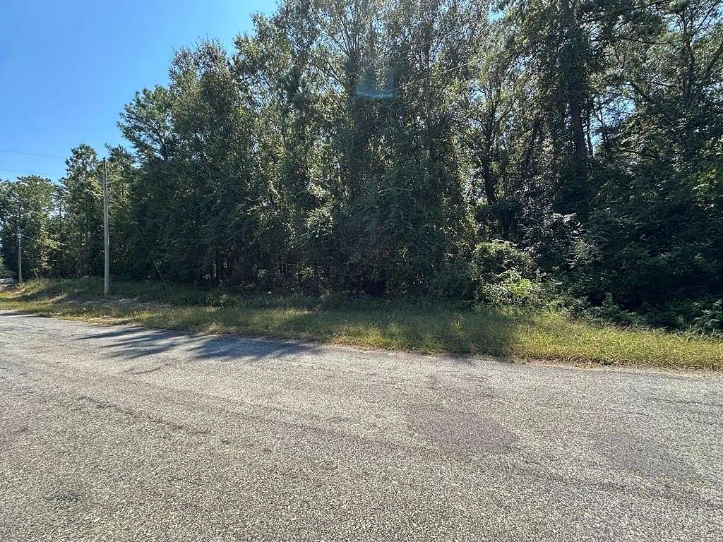 Residential Land for Sale in Abbeville, Alabama