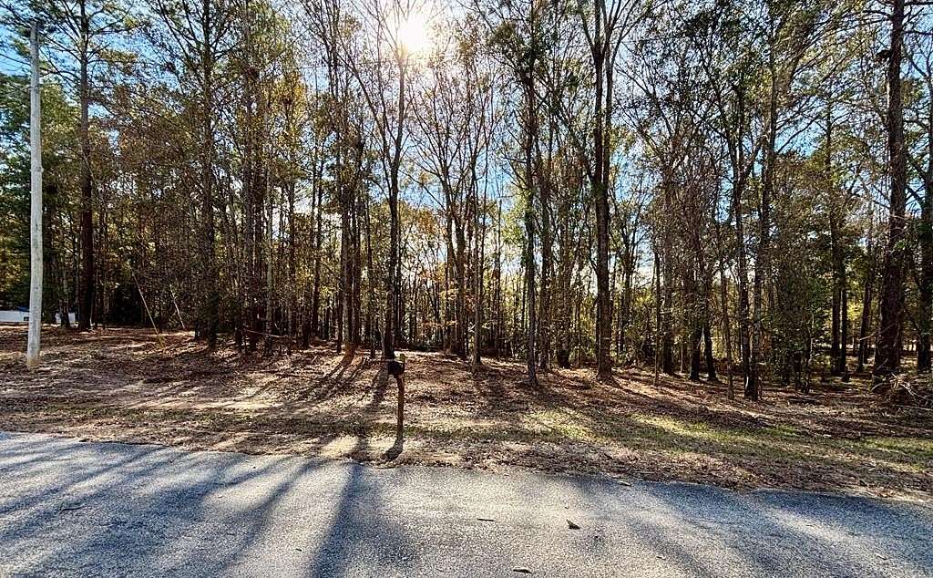 0.69 Acres of Residential Land for Sale in Abbeville, Alabama