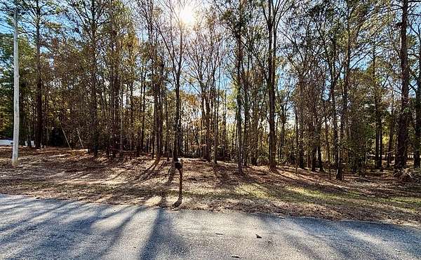 Residential Land for Sale in Abbeville, Alabama