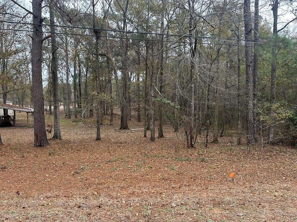 0.69 Acres of Residential Land for Sale in Abbeville, Alabama
