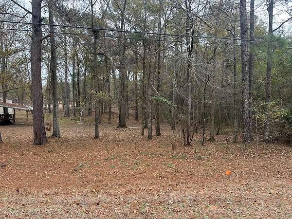 0.69 Acres of Residential Land for Sale in Abbeville, Alabama