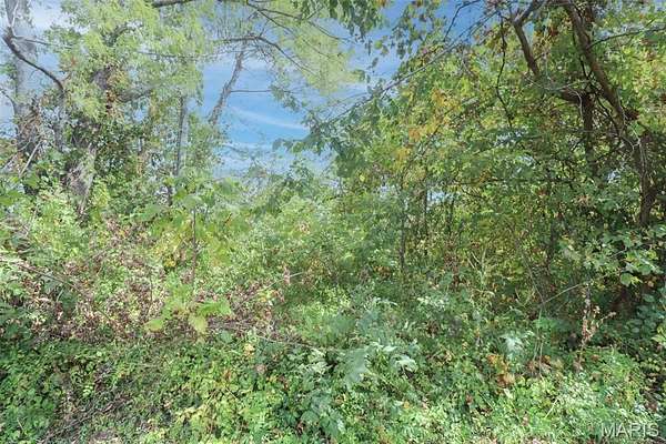 0.23 Acres of Residential Land for Sale in Dixon, Missouri