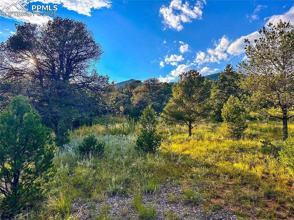 5.59 Acres of Residential Land for Sale in Colorado Springs, Colorado