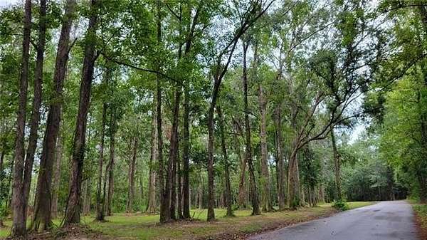 2 Acres of Residential Land for Sale in Pearl River, Louisiana