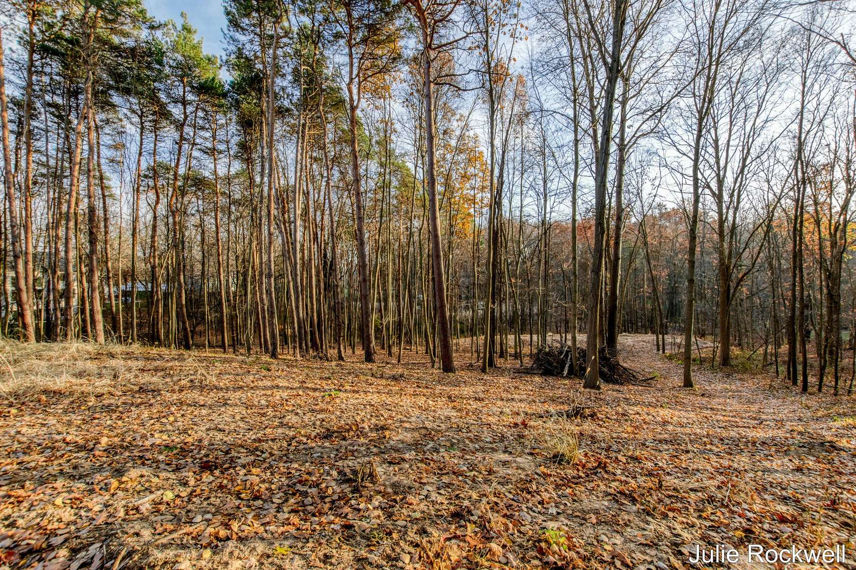 1.54 Acres of Residential Land for Sale in Ada, Michigan