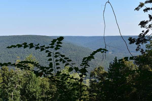10.6 Acres of Land for Sale in Jasper, Tennessee