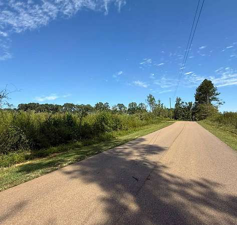 39.5 Acres of Land for Sale in Forest, Mississippi