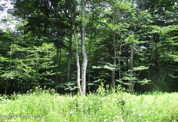 0.2 Acres of Residential Land for Sale in Tobyhanna, Pennsylvania