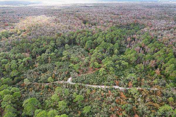 3.29 Acres of Residential Land for Sale in Homosassa, Florida