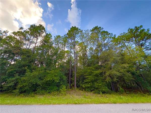 0.23 Acres of Land for Sale in Citrus Springs, Florida