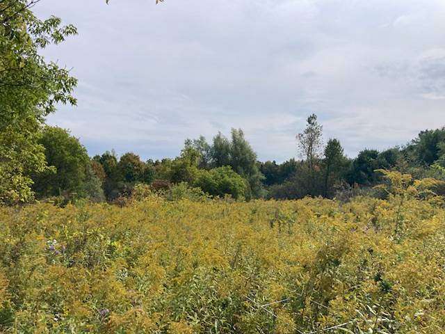 13 Acres of Recreational Land for Sale in Rome, New York