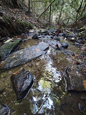 1.33 Acres of Land for Sale in Murphy, North Carolina