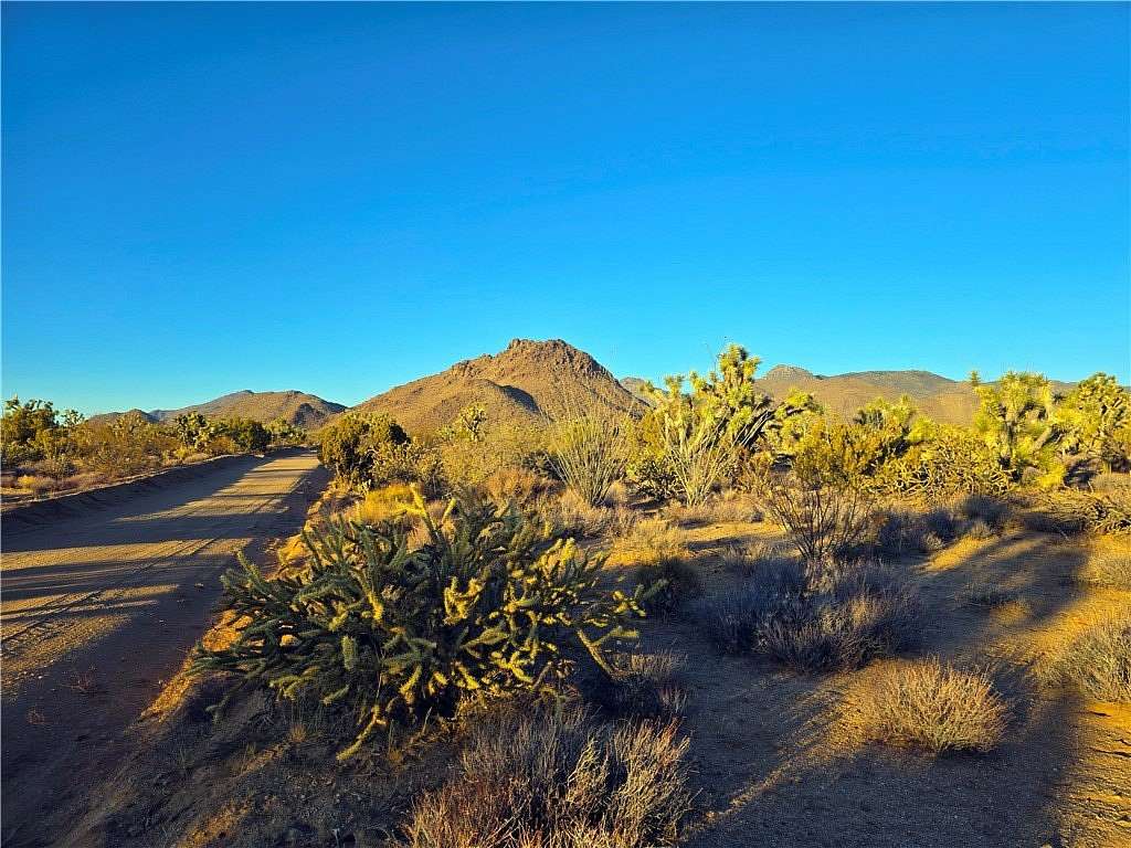 40 Acres of Land for Sale in Yucca, Arizona