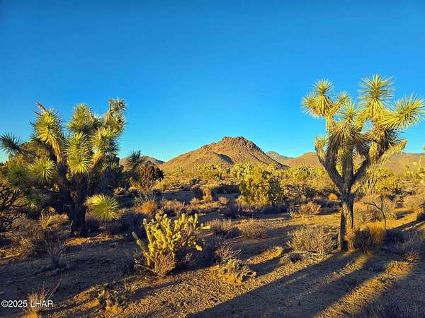 40 Acres of Recreational Land for Sale in Yucca, Arizona
