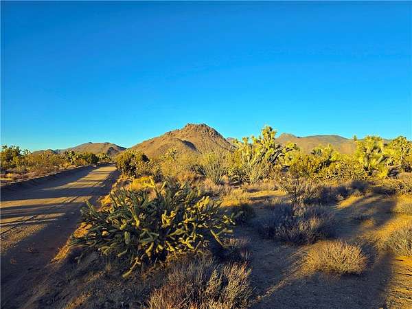 40 Acres of Land for Sale in Yucca, Arizona