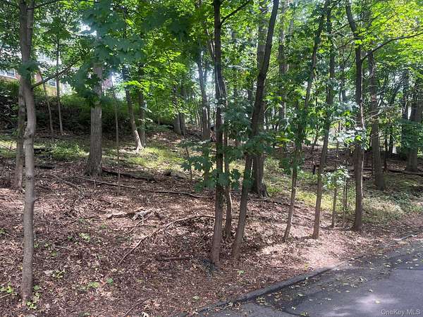 0.28 Acres of Residential Land for Sale in Ardsley, New York