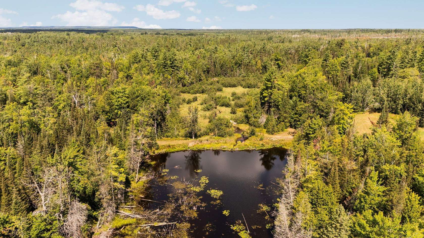 440 Acres of Recreational Land with Home for Sale in Onaway, Michigan