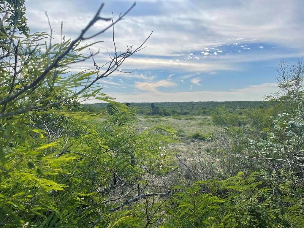 10.7 Acres of Recreational Land for Sale in George West, Texas