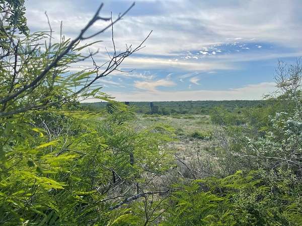 10.7 Acres of Recreational Land for Sale in George West, Texas