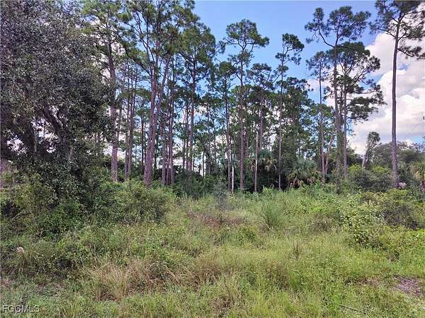 0.25 Acres of Land for Sale in Lehigh Acres, Florida
