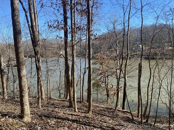 26.1 Acres of Recreational Land for Sale in Edwards, Missouri