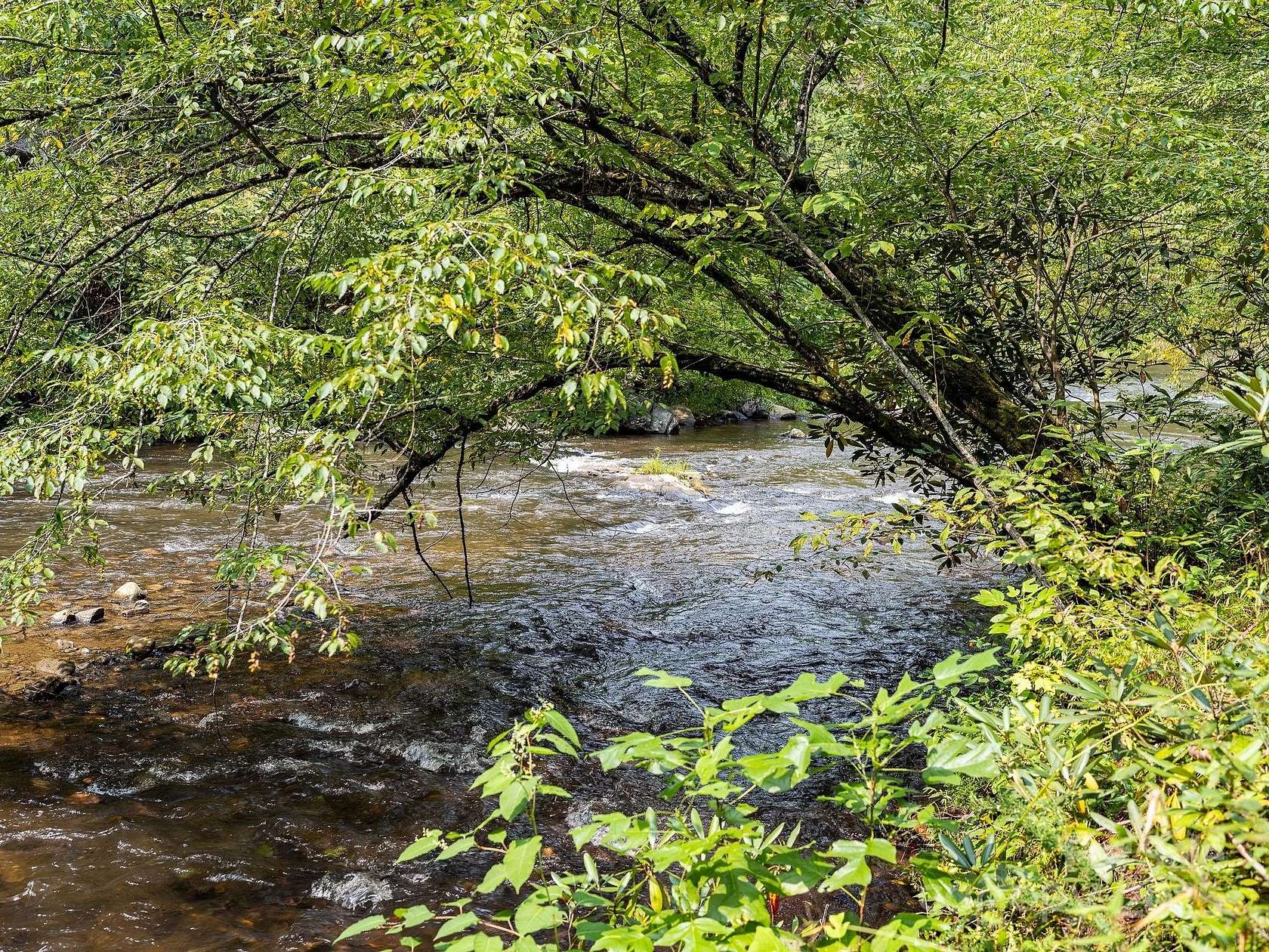 5 Acres of Residential Land for Sale in Marshall, North Carolina