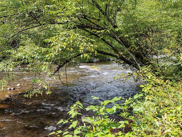 5 Acres of Residential Land for Sale in Marshall, North Carolina