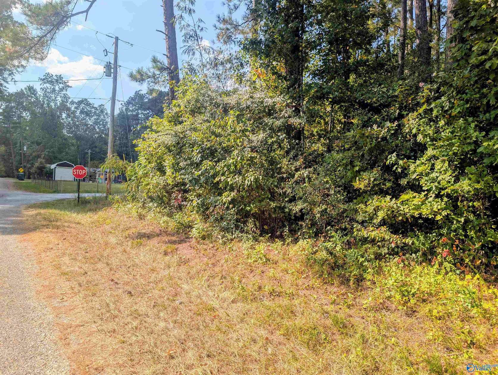 0.5 Acres of Residential Land for Sale in Leesburg, Alabama