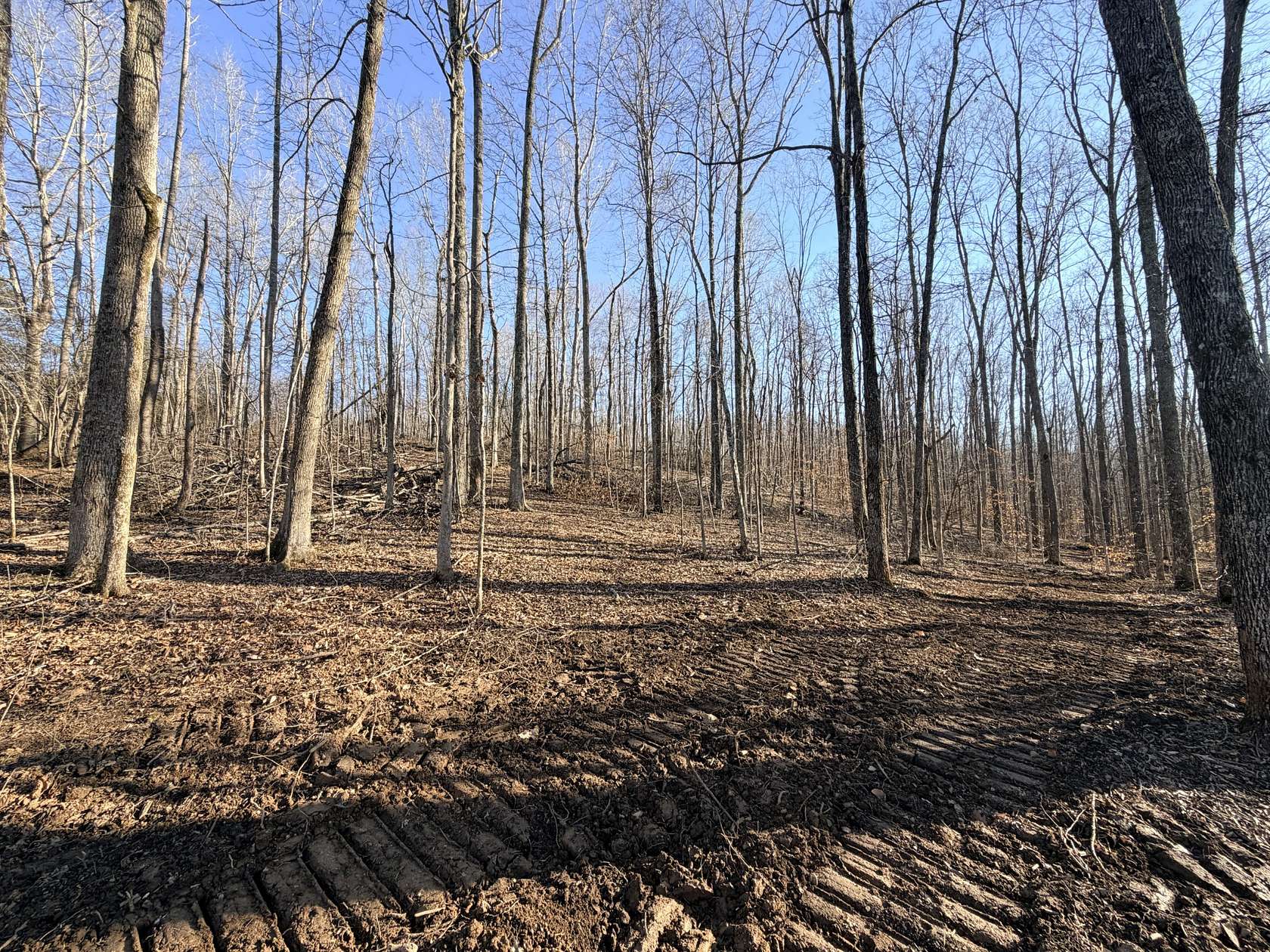 6.8 Acres of Land for Sale in Erin, Tennessee