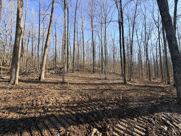 6.8 Acres of Land for Sale in Erin, Tennessee